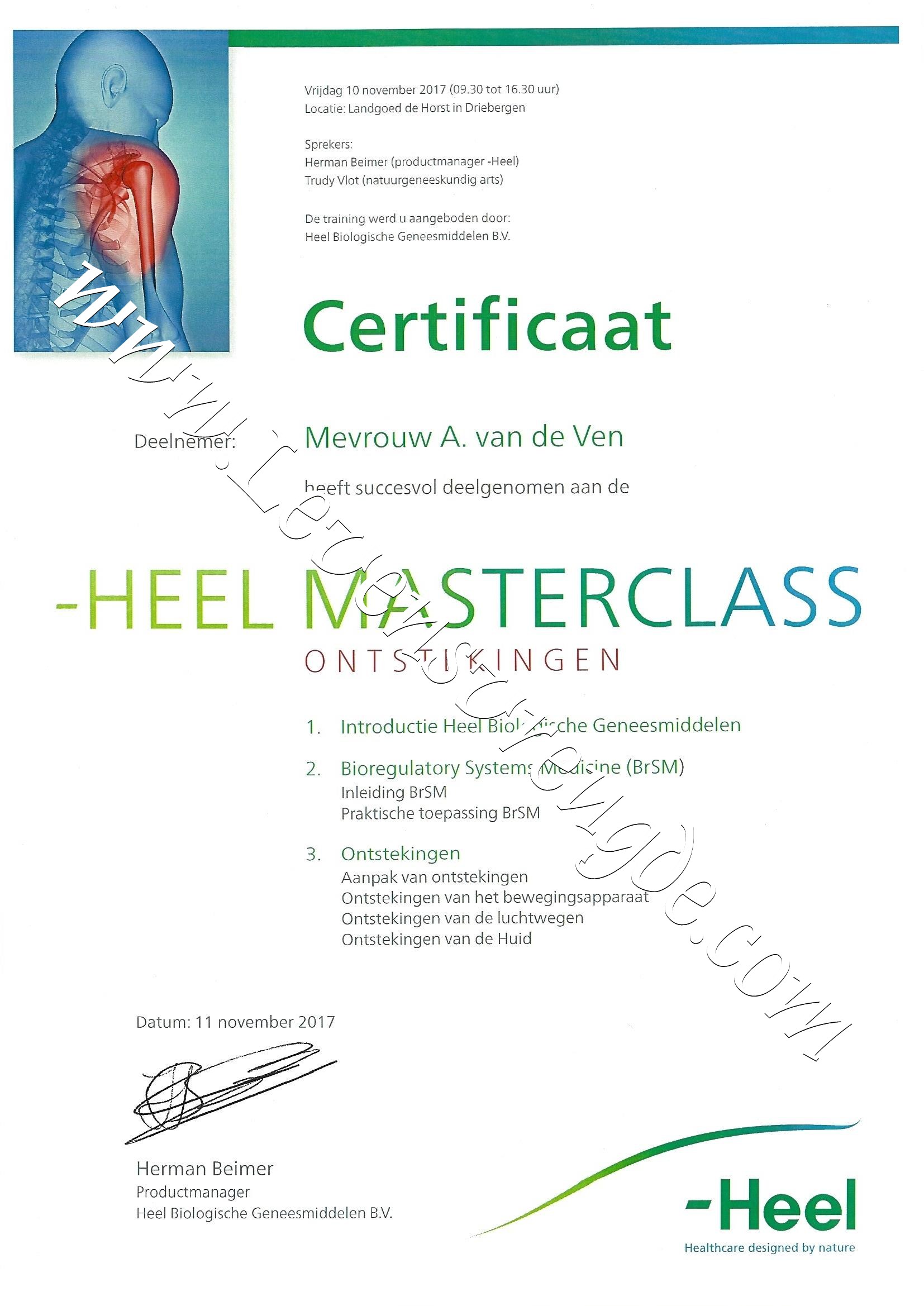 Ontstekingen - Heel Masterclass